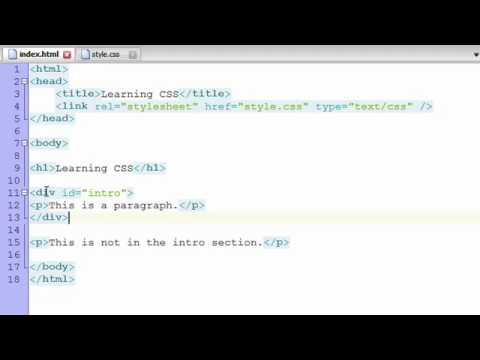 Learn CSS (Tutorial) - Basics + Selectors (For Absolute Beginners)