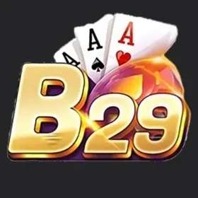 B29