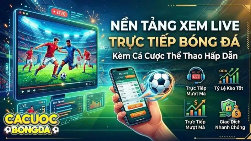 Cá Cược Bóng Đá