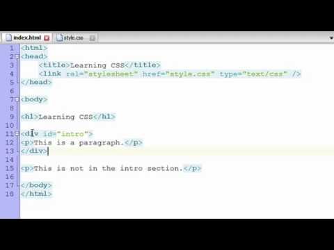 Learn CSS (Tutorial) - Basics + Selectors (For Absolute Beginners)